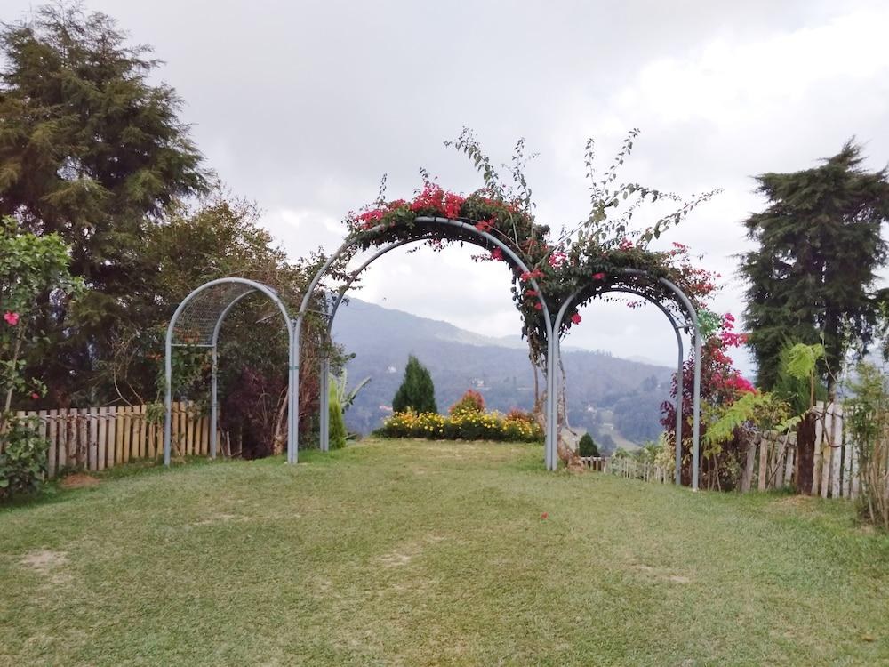 Sunlight Suite