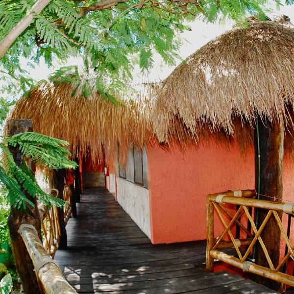 L'hotelito photo 1
