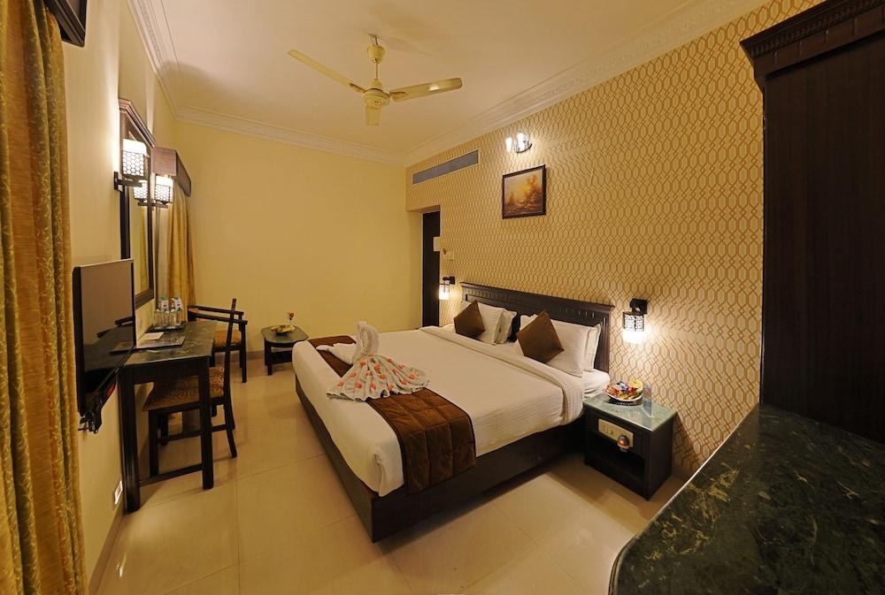 HOTEL RAJ PALACE SUNDAR photo 4