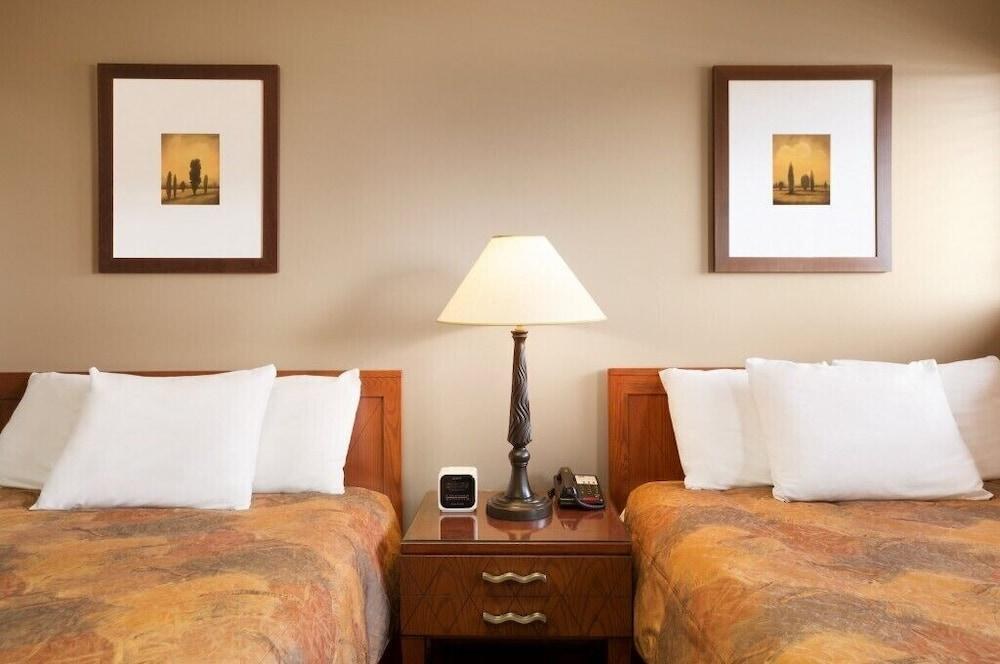 Central Suite Hotel photo 1