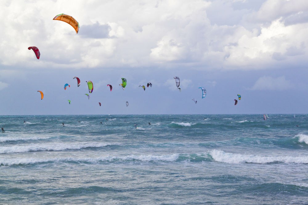 DAN CARMEL photo 1