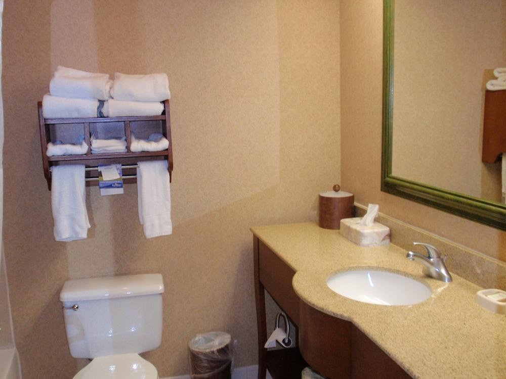 BAYMONT BY WYNDHAM LEWISVILLE photo 4