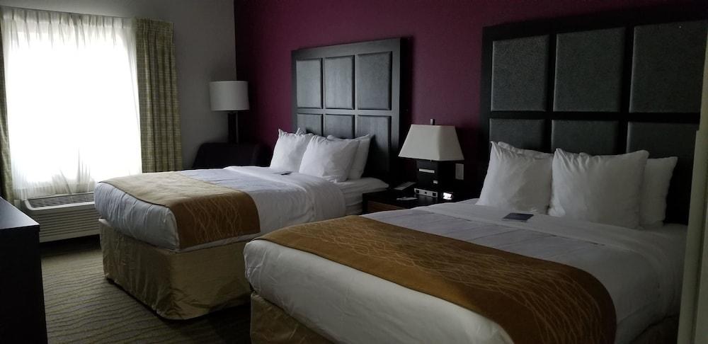 COMFORT INN & SUITES photo 2
