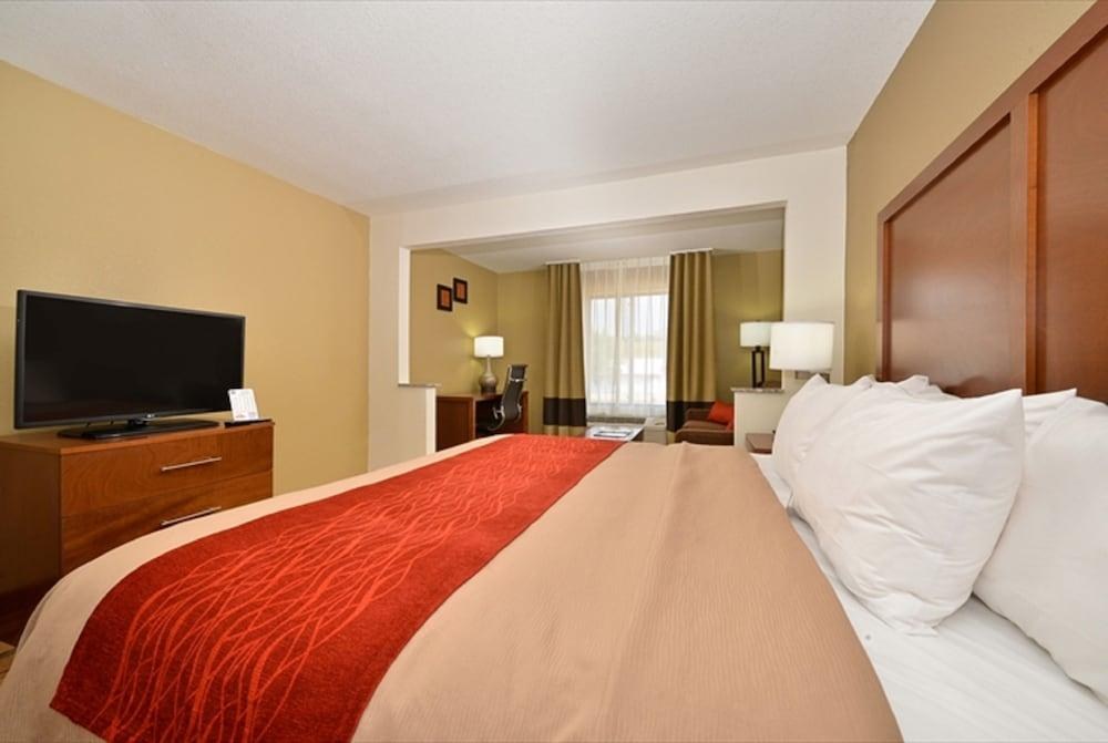 COMFORT INN & SUITES photo 3