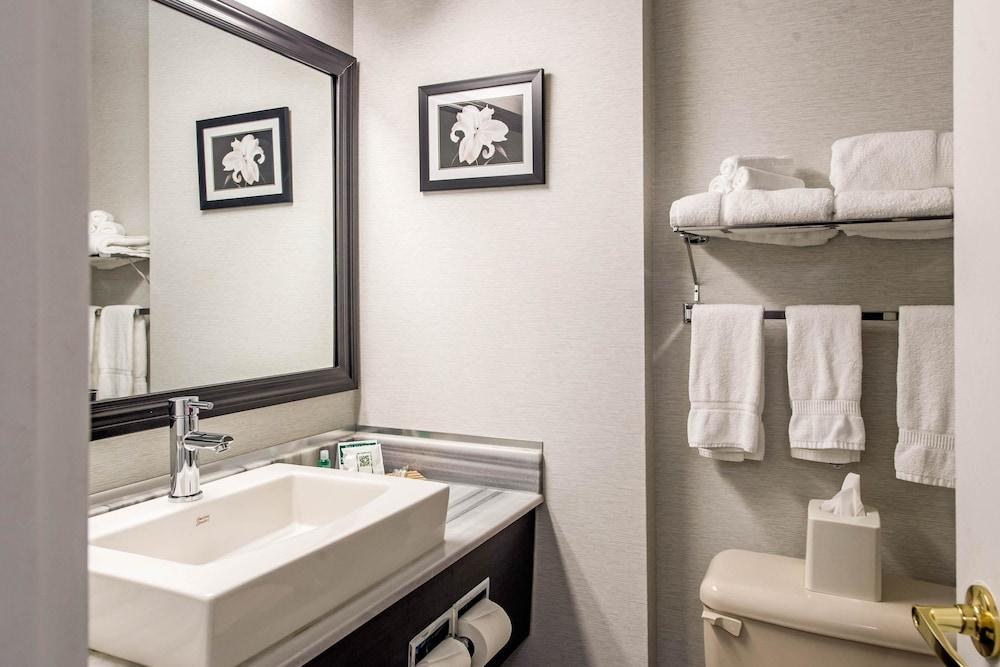 Quality Inn & Suites Gatineau photo 3