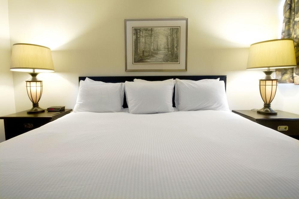 THE BUSINESS INN photo 4