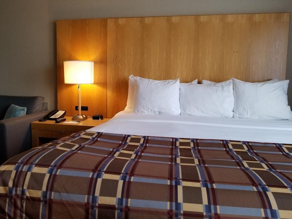RADISSON HOTEL RED DEER photo 4