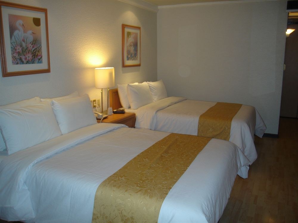HOTEL PLAZA FLORENCIA