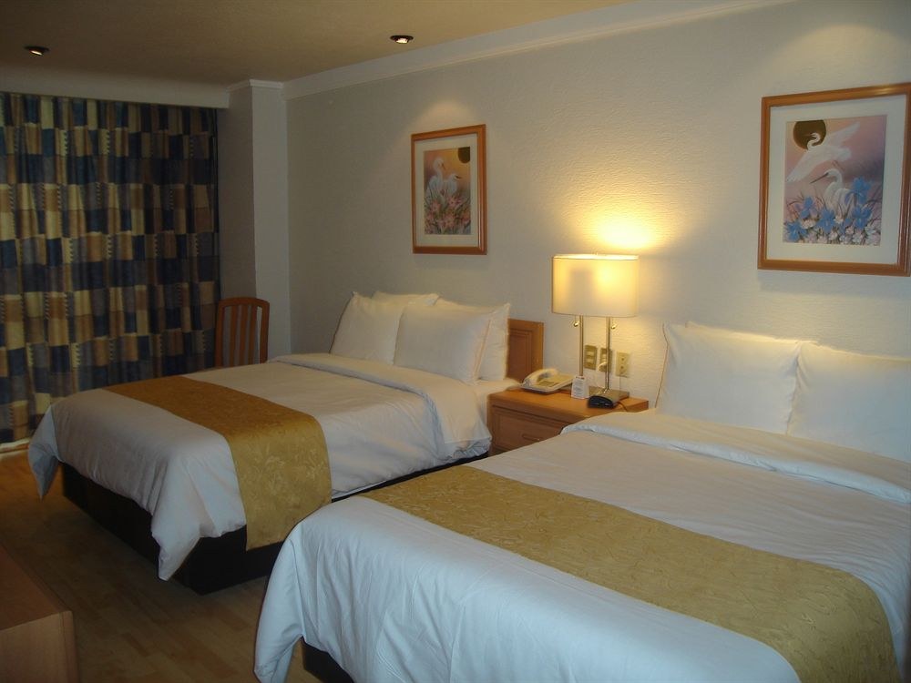 HOTEL PLAZA FLORENCIA photo 1