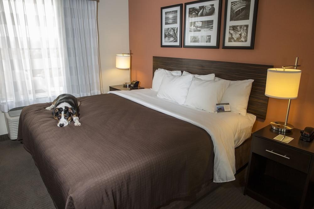 SLEEP INN & SUITES AUSTIN - NORTHEAST photo 2