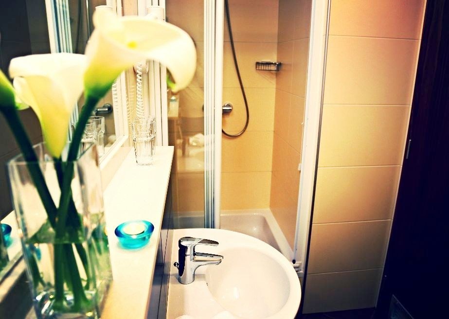 HOTEL PLAZA OMIS photo 3