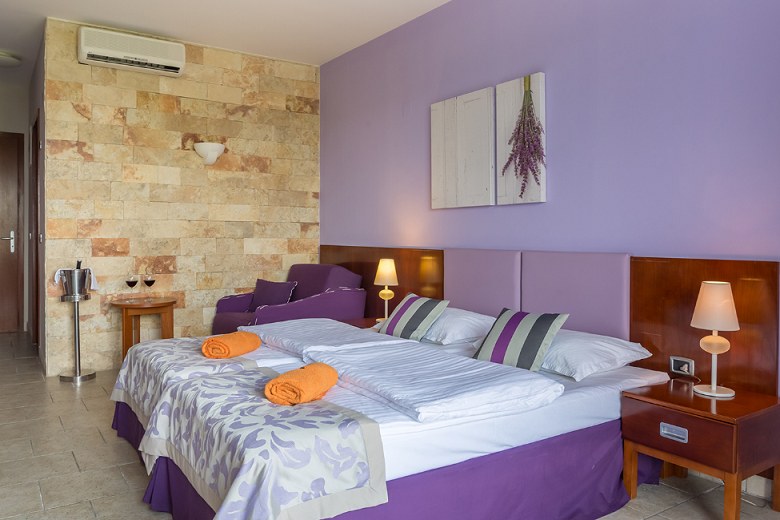 HOTEL PODSTINE photo 1