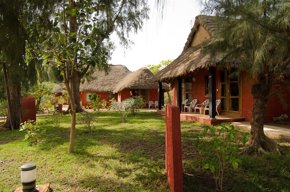 ROYAL HORIZON BAOBAB