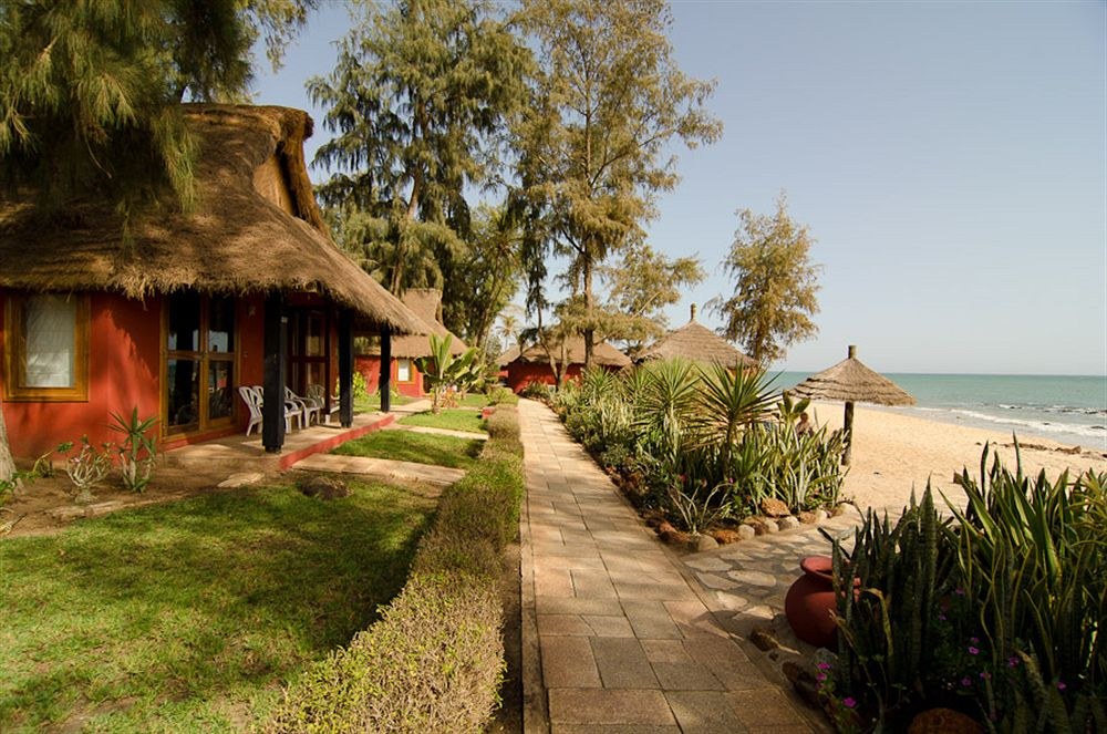 ROYAL HORIZON BAOBAB photo 1