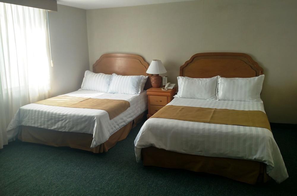 BIOHOTEL photo 4