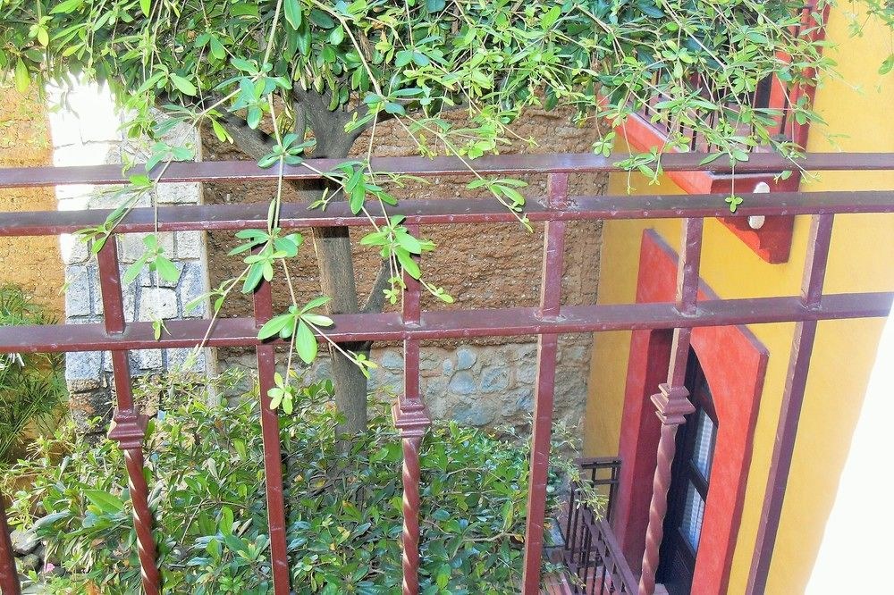 CASA DEL SÓTANO
