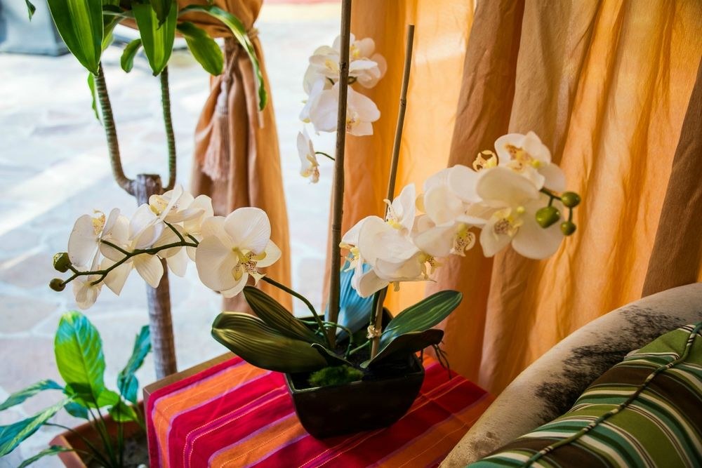 TROPICANA INN photo 1