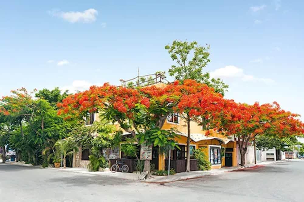 MAISON TULUM photo 2