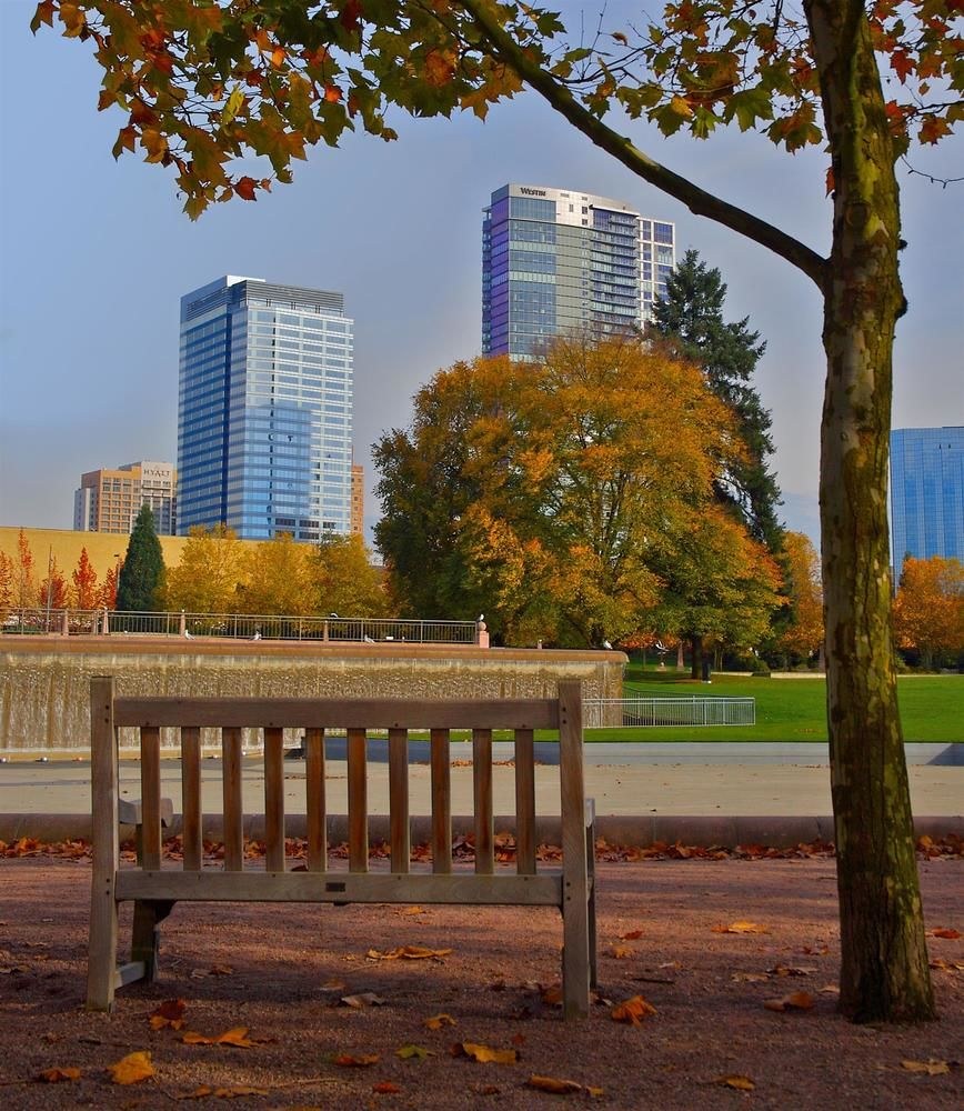 THE WESTIN BELLEVUE photo 4