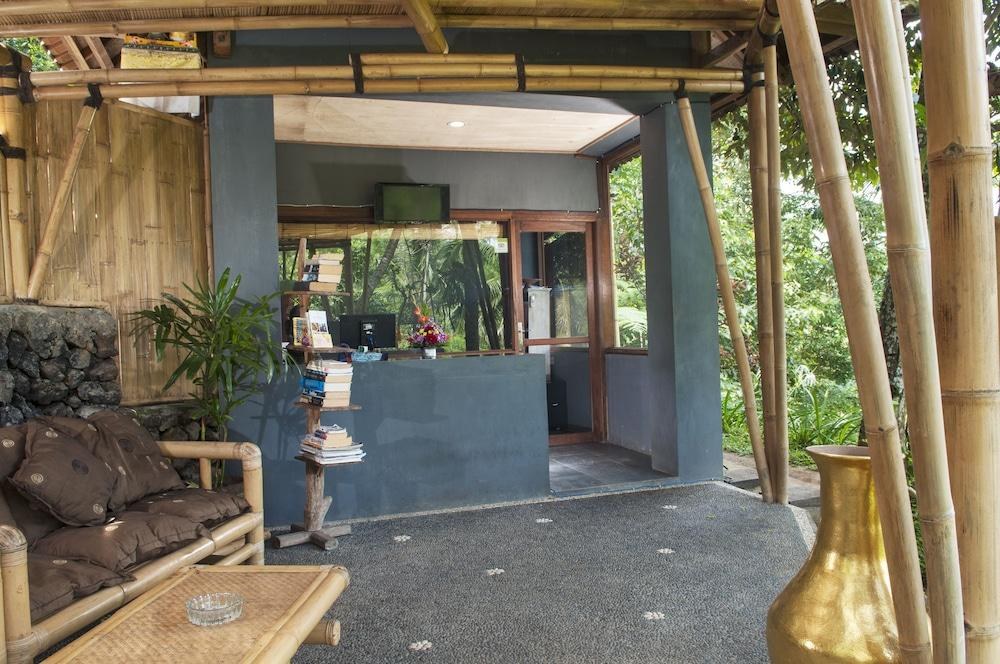 DD UBUD VILLA photo 3
