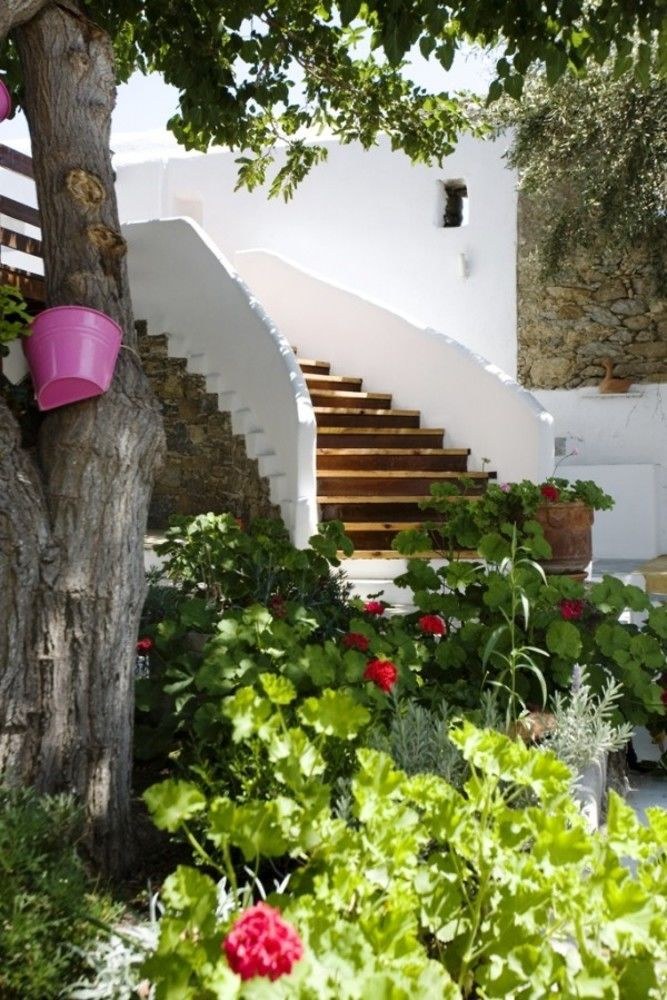 DESPOTIKO HOTEL photo 1