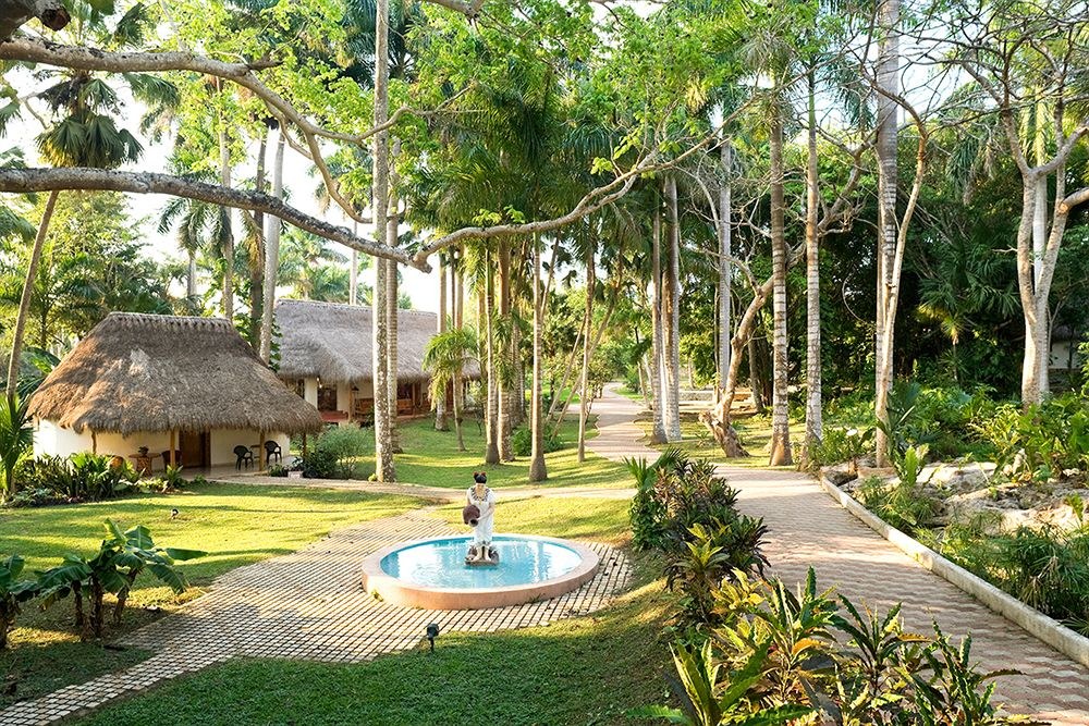 IKAL CHICHEN MAYALAND photo 2
