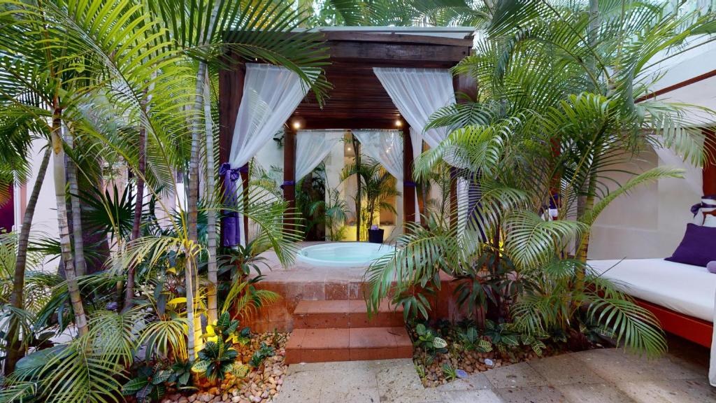OASIS PALM photo 4