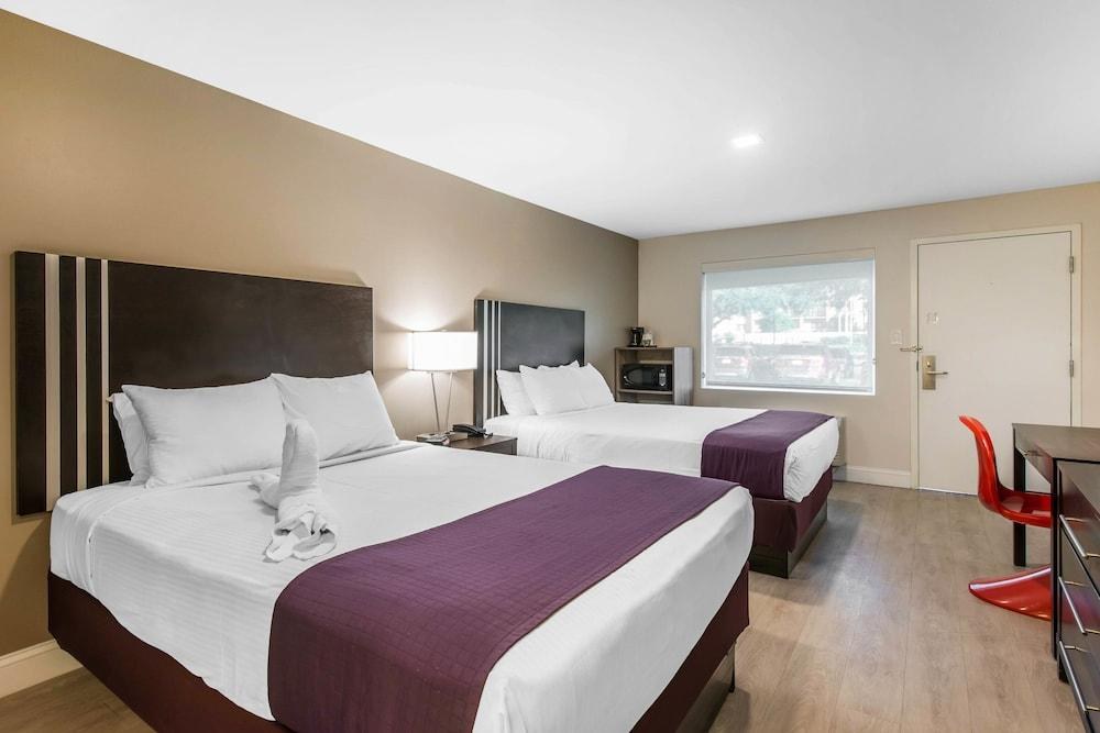 Avanti International Resort photo 3
