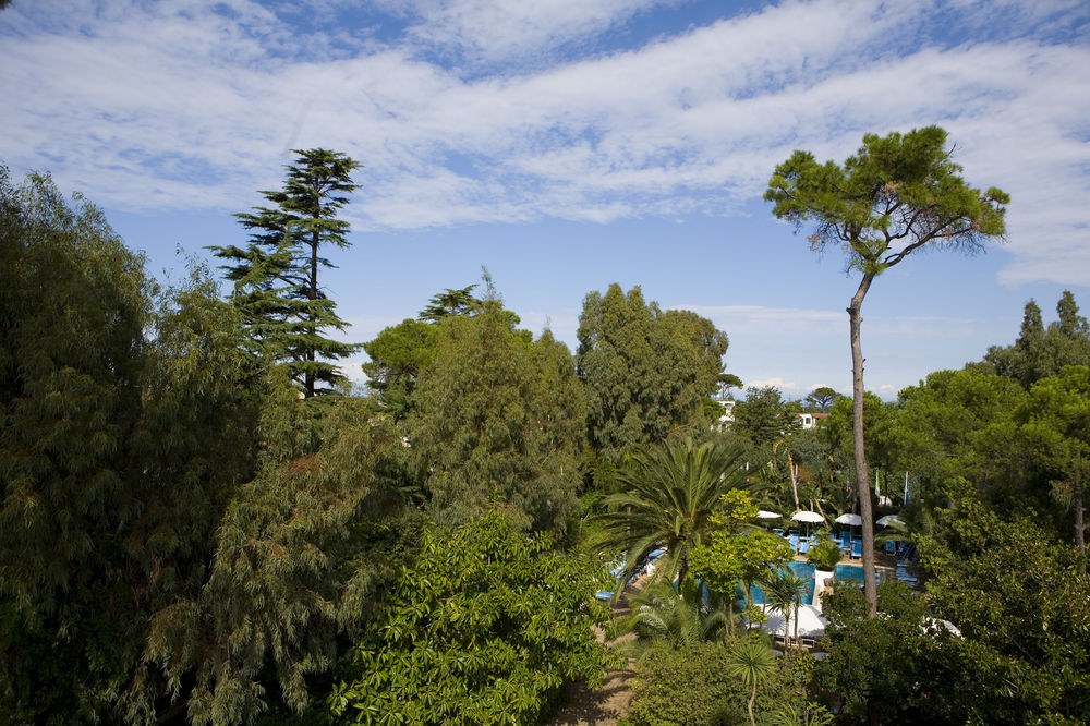 CENTRAL PARK HOTEL photo 1