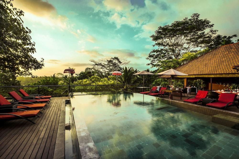 JUNGLE RETREAT BY KUPU KUPU BARONG