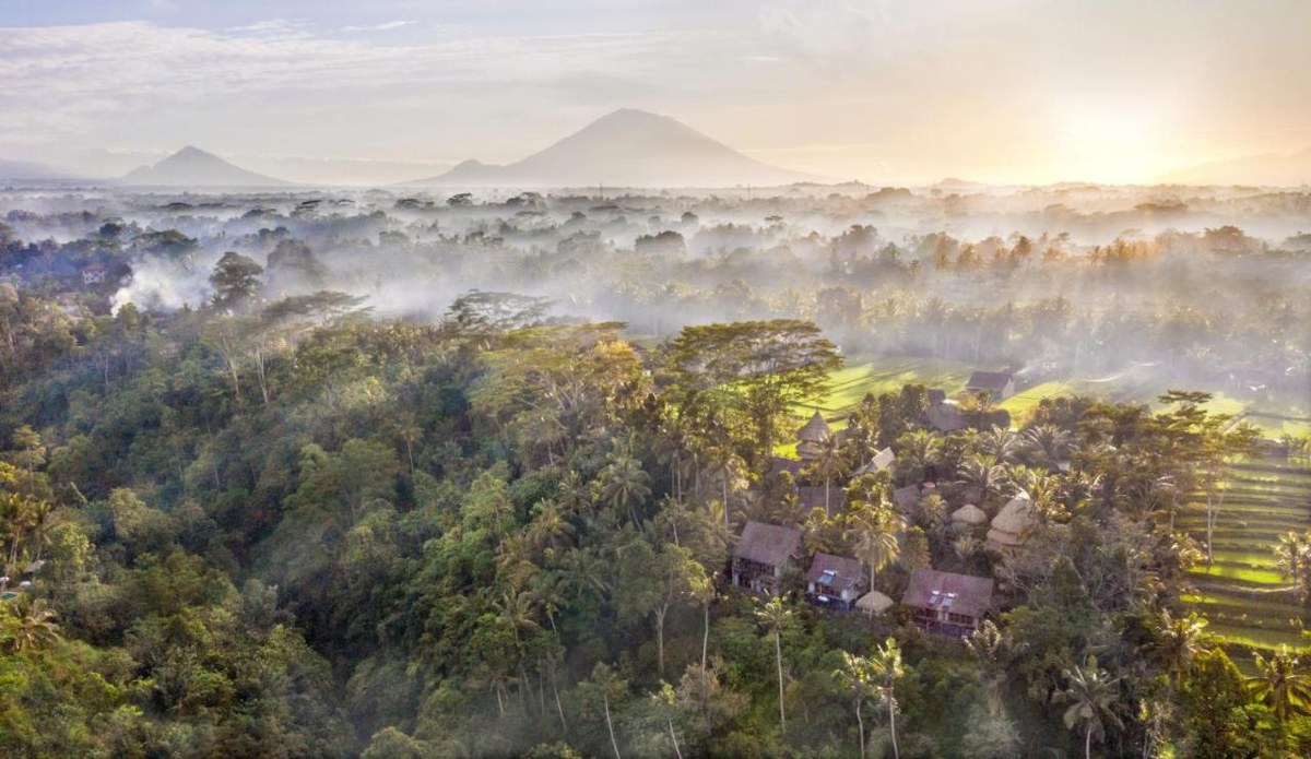 BLUE KARMA DIJIWA UBUD photo 1