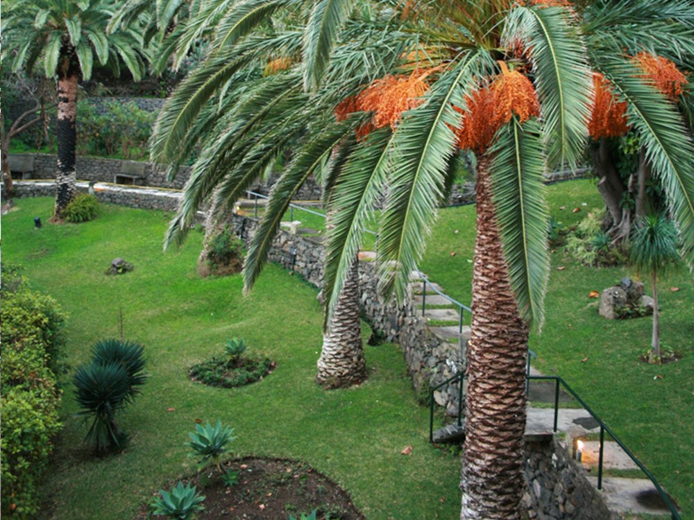 DOM PEDRO MADEIRA photo 1