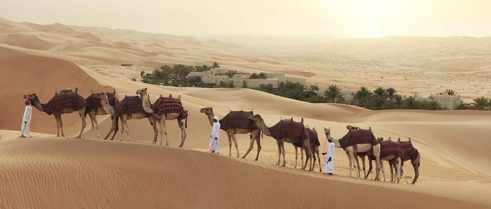 ANANTARA QASR AL SARAB DESERT RESORT photo 2