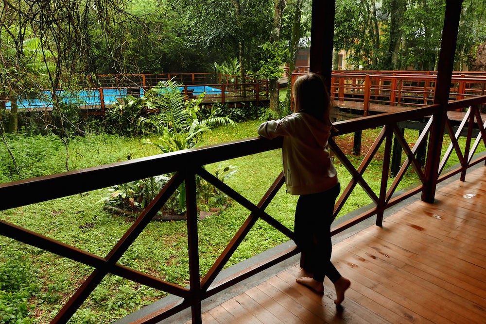Selva de Laurel