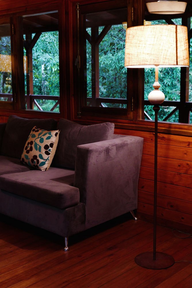 Selva de Laurel photo 1