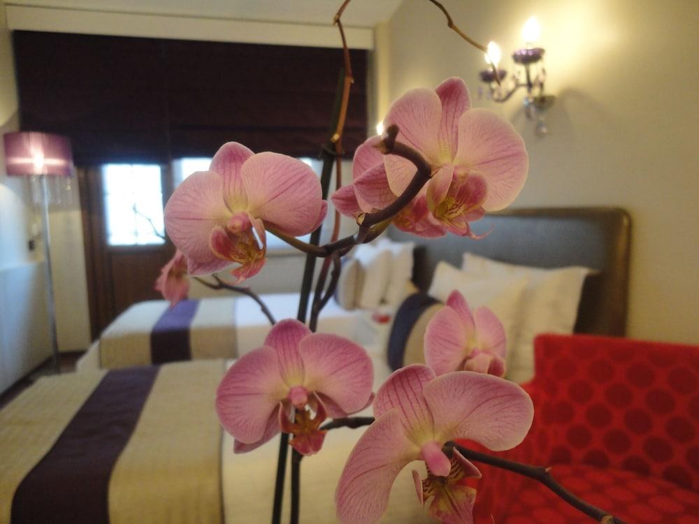 BEST WESTERN TASHAN BUSINESS & AIRPORT HOTEL photo 4