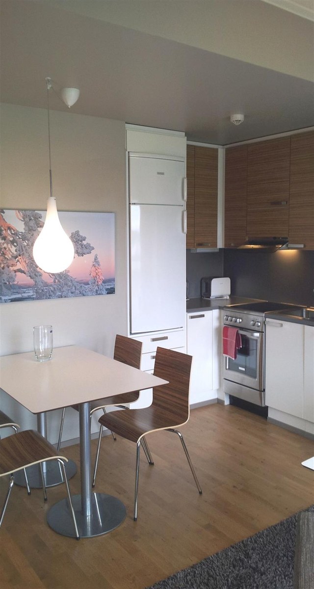 BEST WESTERN APARTMENTS LEVIN KLUBI photo 4