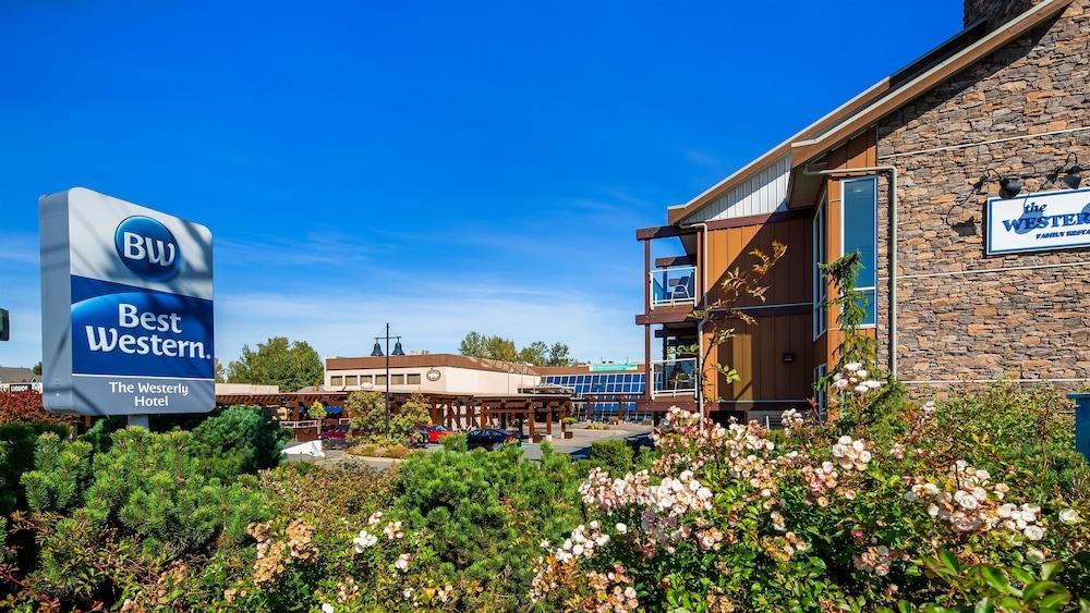 Best Western The Westerly Hotel photo 4