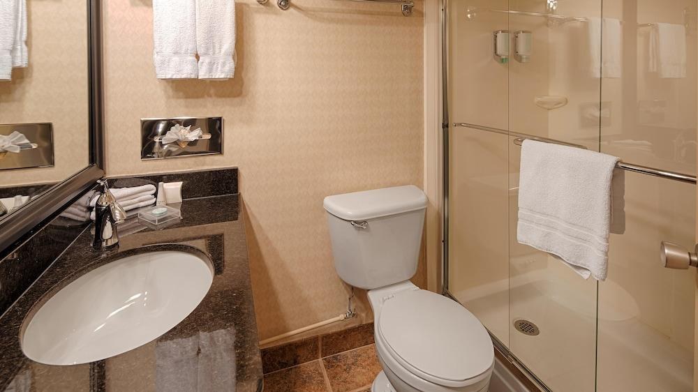 BEST WESTERN PLUS DOWNTOWN WINNIPEG photo 2