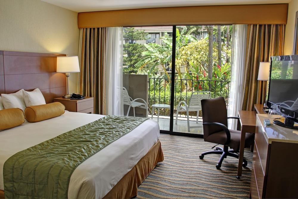 Irazú Hotel & Studios photo 4