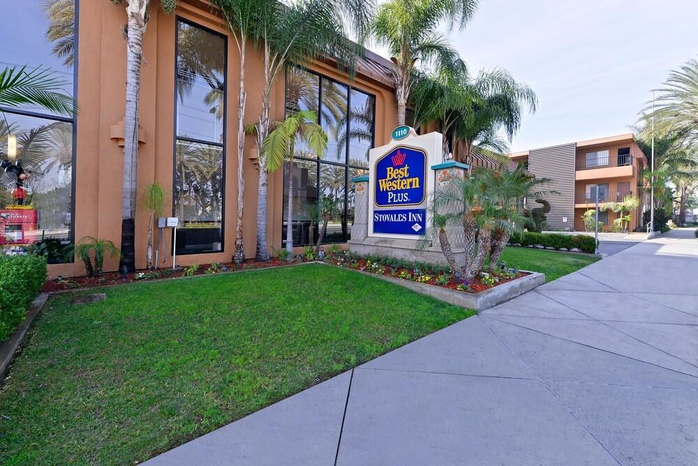 Best Western Plus Stovall's Inn photo 3