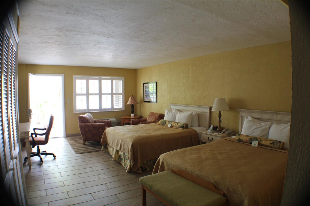 Best Western Hibiscus Motel photo 2