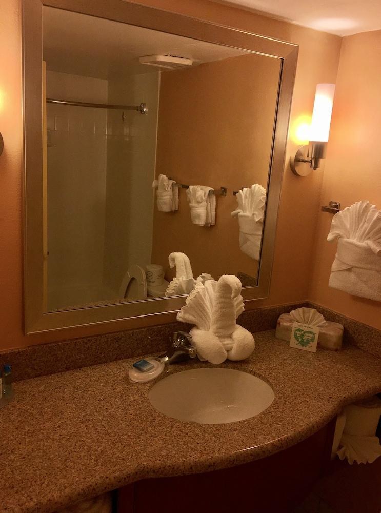 Best Western Orlando Gateway Hotel photo 4