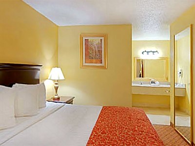 Mai Hana Hotel - International Drive photo 4