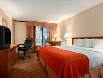 Holiday Inn St. Louis - Downtown Conv Ctr by IHG photo 2