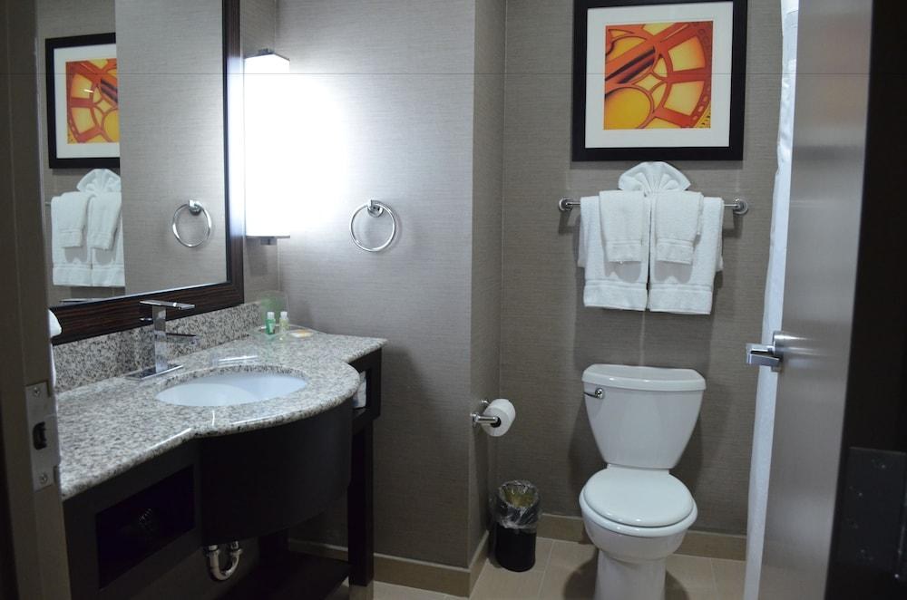 HOLIDAY INN & SUITES HOUSTON WEST - WESTWAY PARK photo 4
