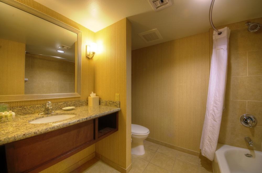 HOLIDAY INN HOTEL & SUITES PHOENIX AIRPORT photo 3
