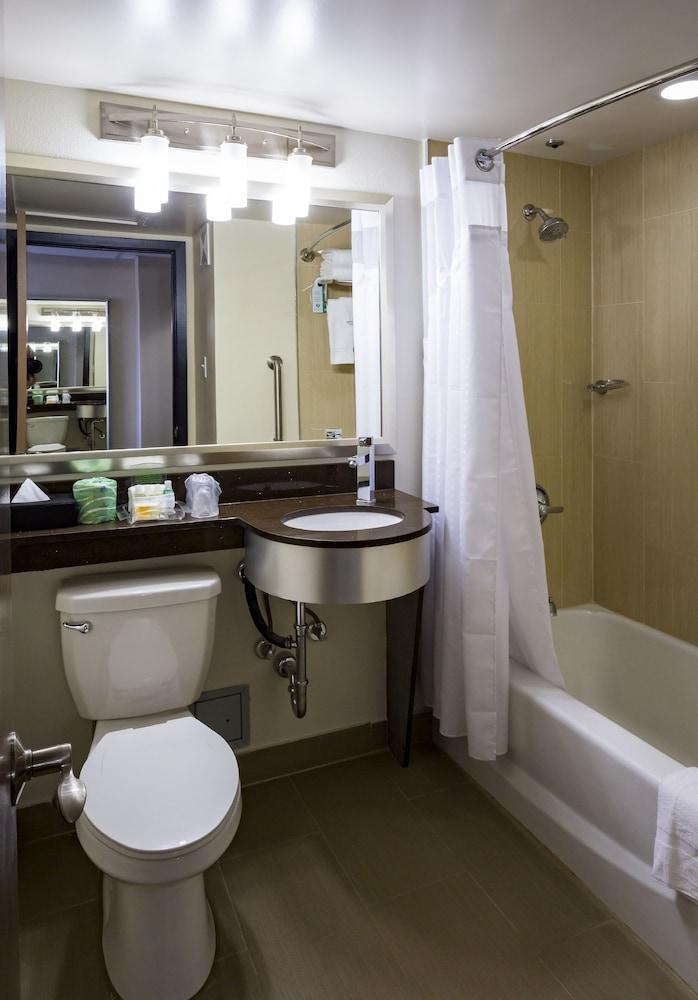 HOLIDAY INN HOUSTON DOWNTOWN photo 4