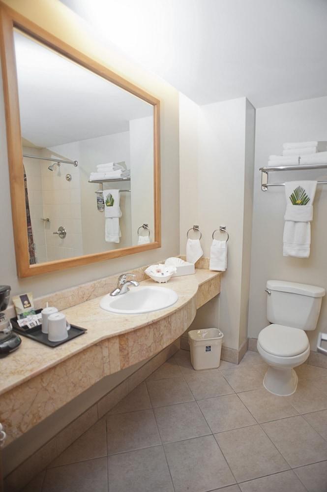 SLEEP INN SAN JOSE PASEO LAS DAMAS photo 3