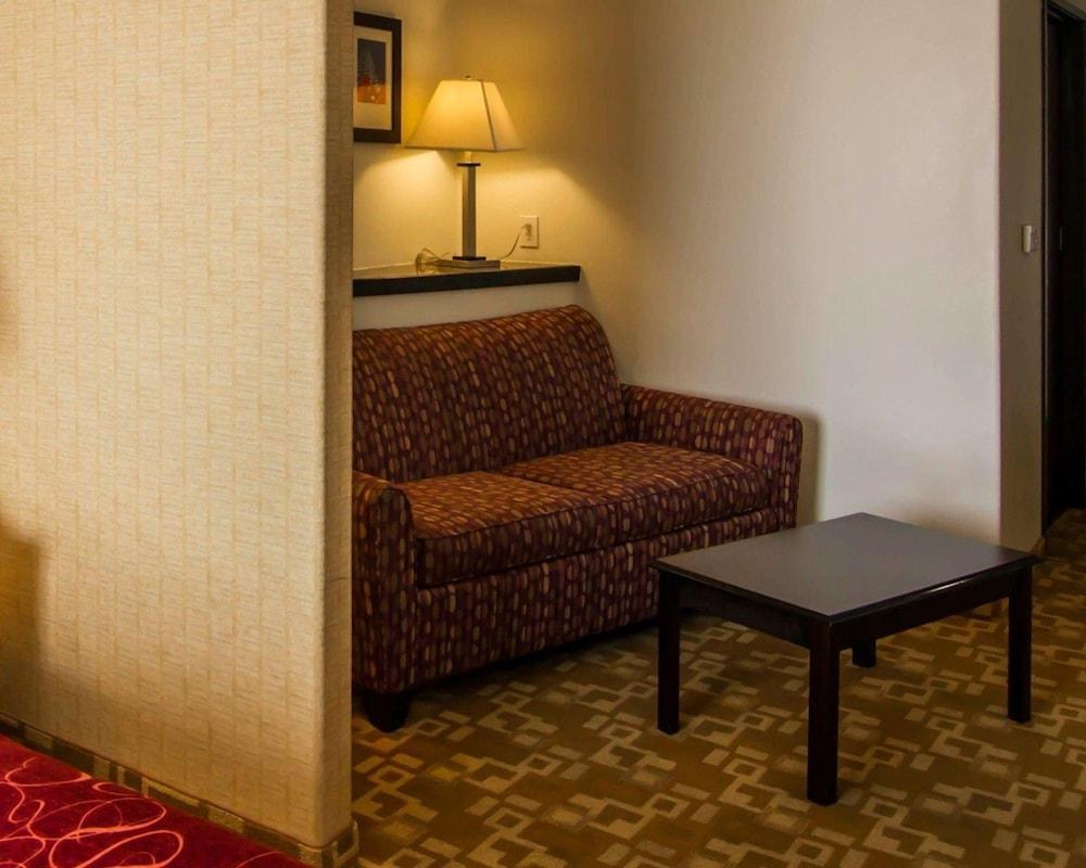 Comfort Suites West Dallas - Cockrell Hill photo 2